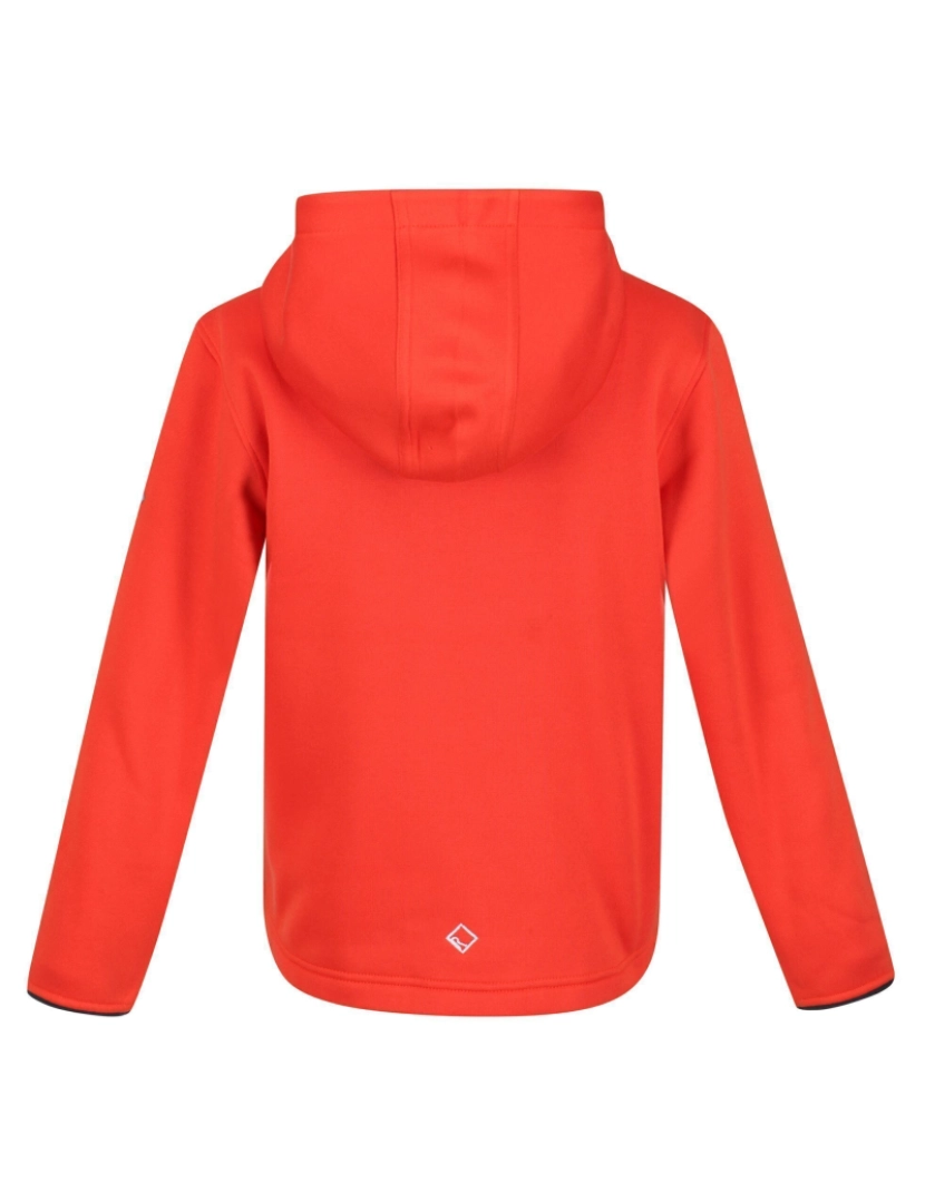 imagem de Regatta Crianças/Kids Highton Mountain Extol Stretch Hoodie2