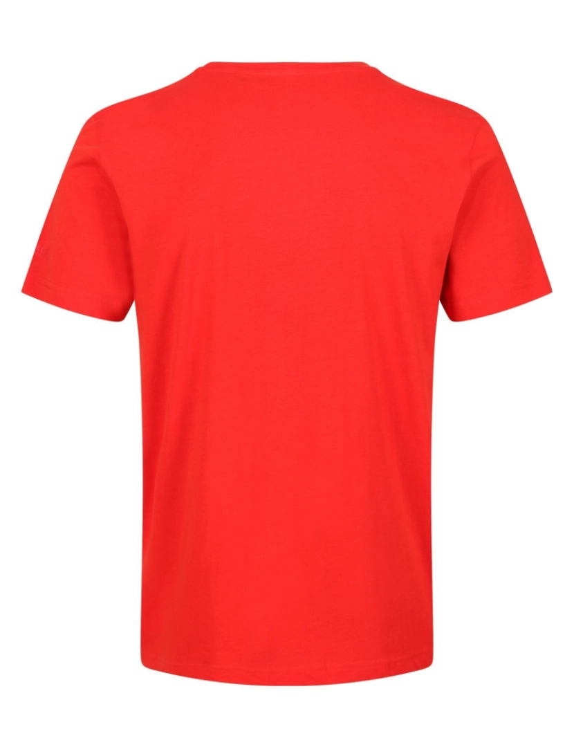 imagem de Regatta Mens Breezed Hexagon T-shirt2