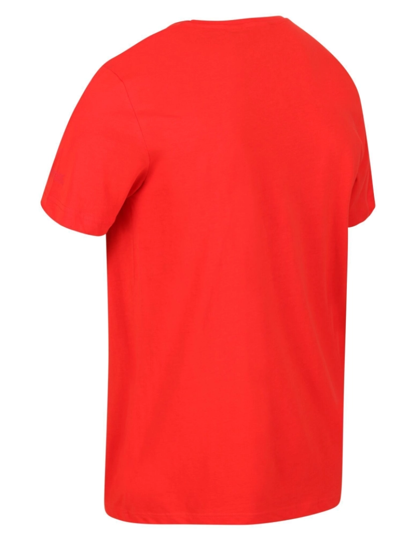 imagem de Regatta Mens Breezed Hexagon T-shirt3