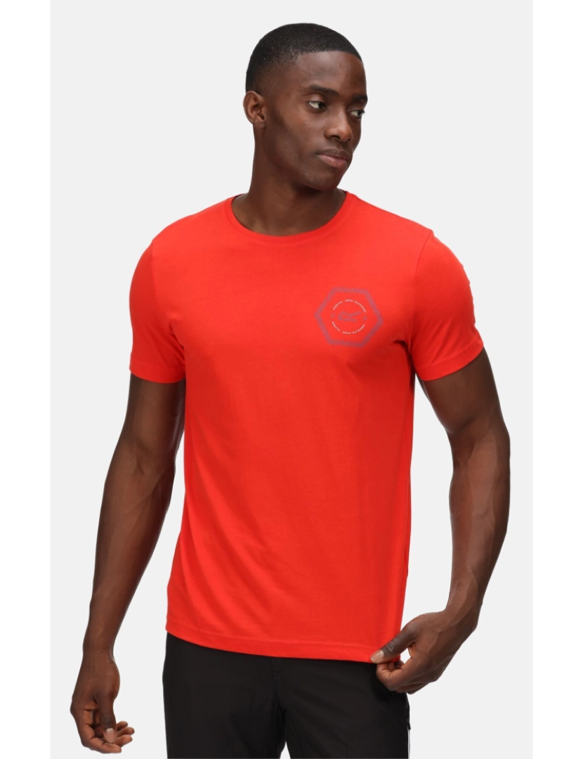 imagem de Regatta Mens Breezed Hexagon T-shirt6