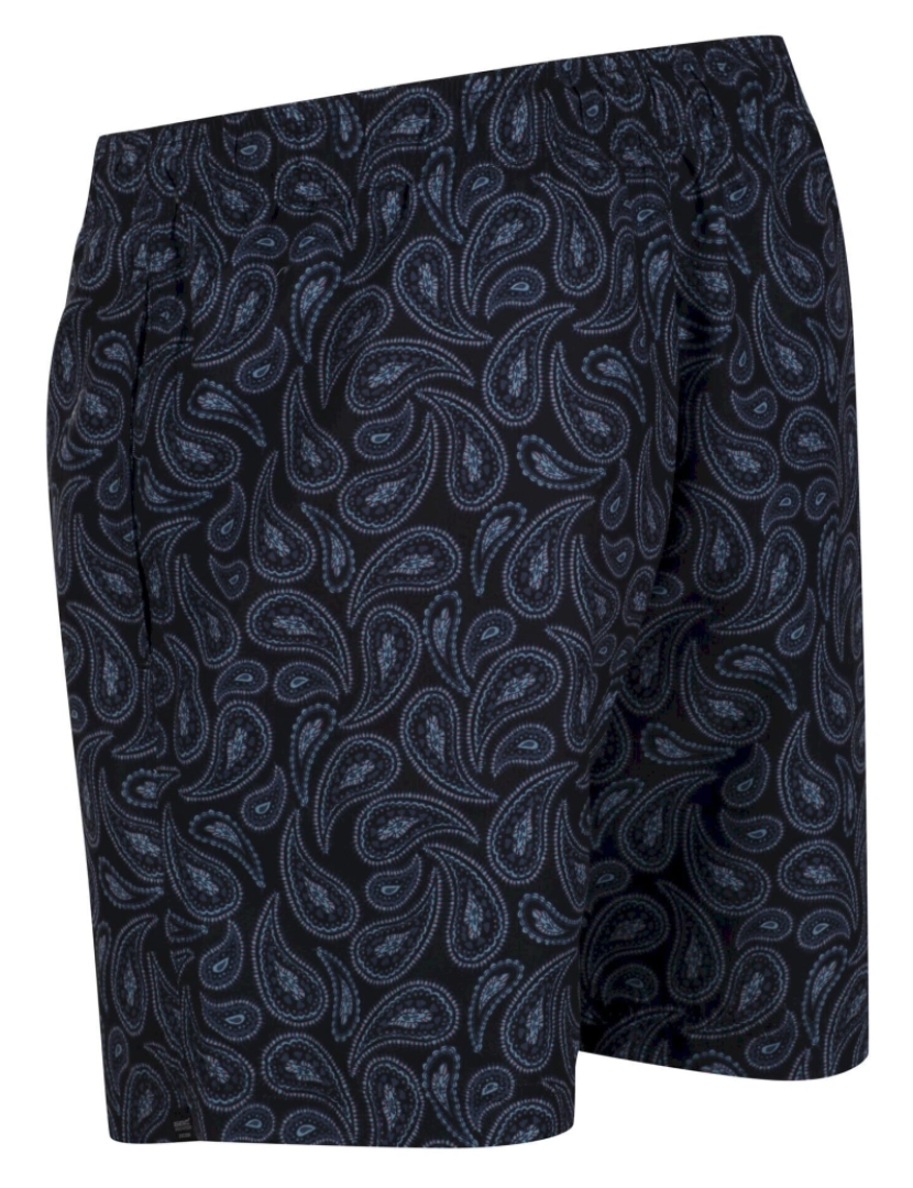 imagem de Regatta Mens Loras Paisley Swim Shorts2