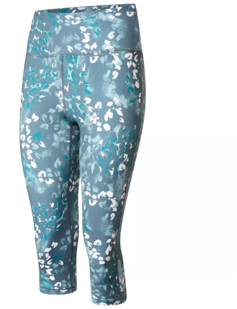 imagem de Dare 2B Womens/Ladies Influential Recycled Animal Print 3/4 Leggings3