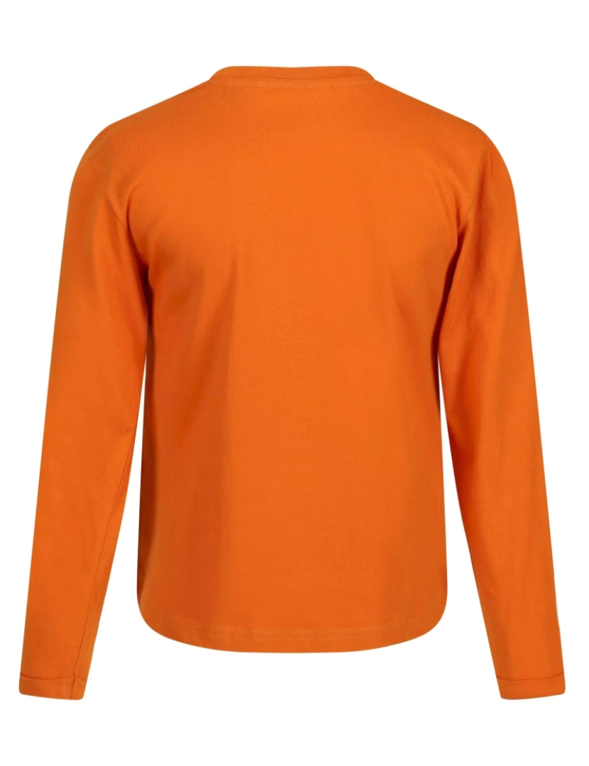 imagem de Regatta Crianças/Kids Wenbie Iii Long-Sleeved T-Shirt2