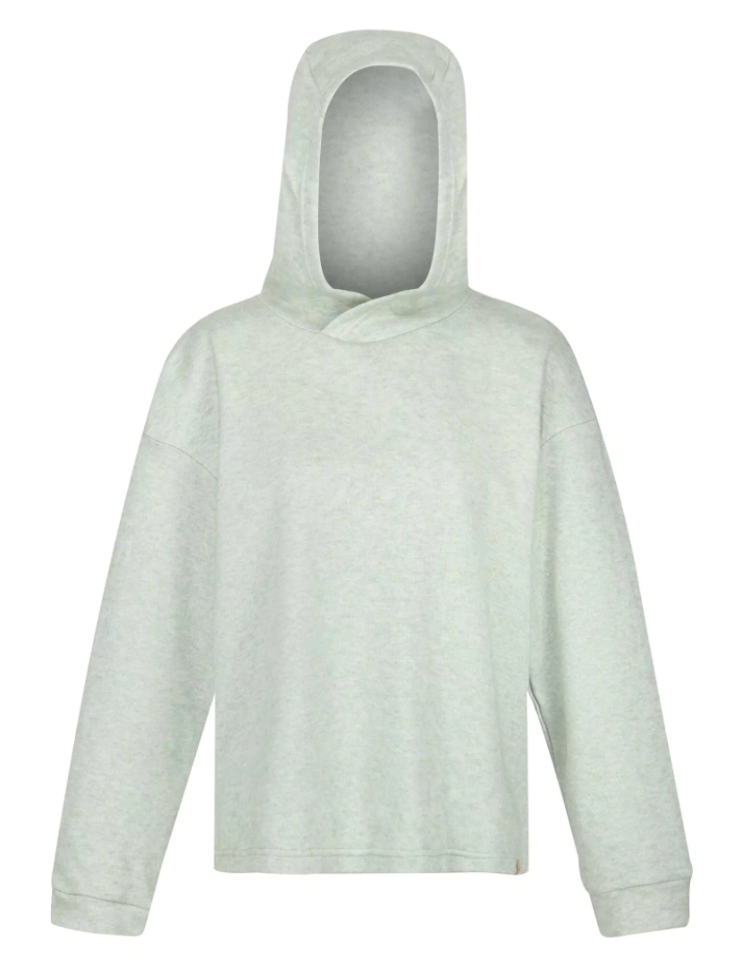 imagem de Regatta Womens/Ladies Kassidy Marl Hoodie1