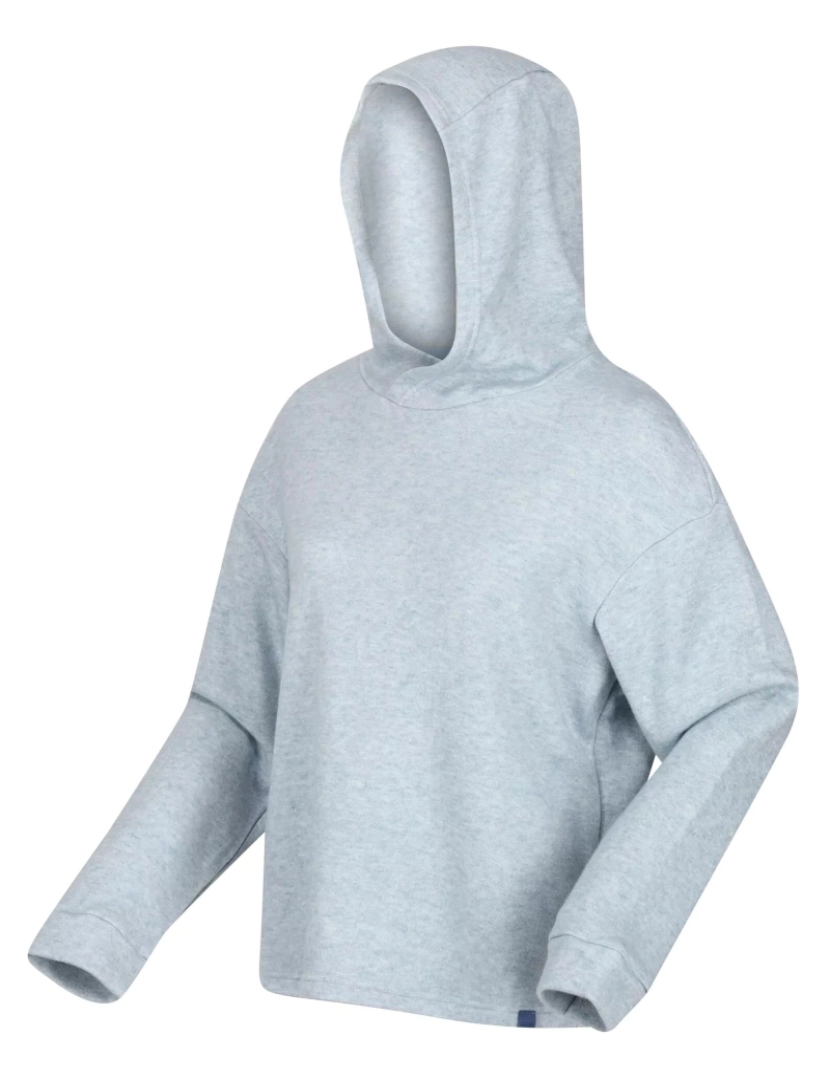 imagem de Regatta Womens/Ladies Kassidy Marl Hoodie4