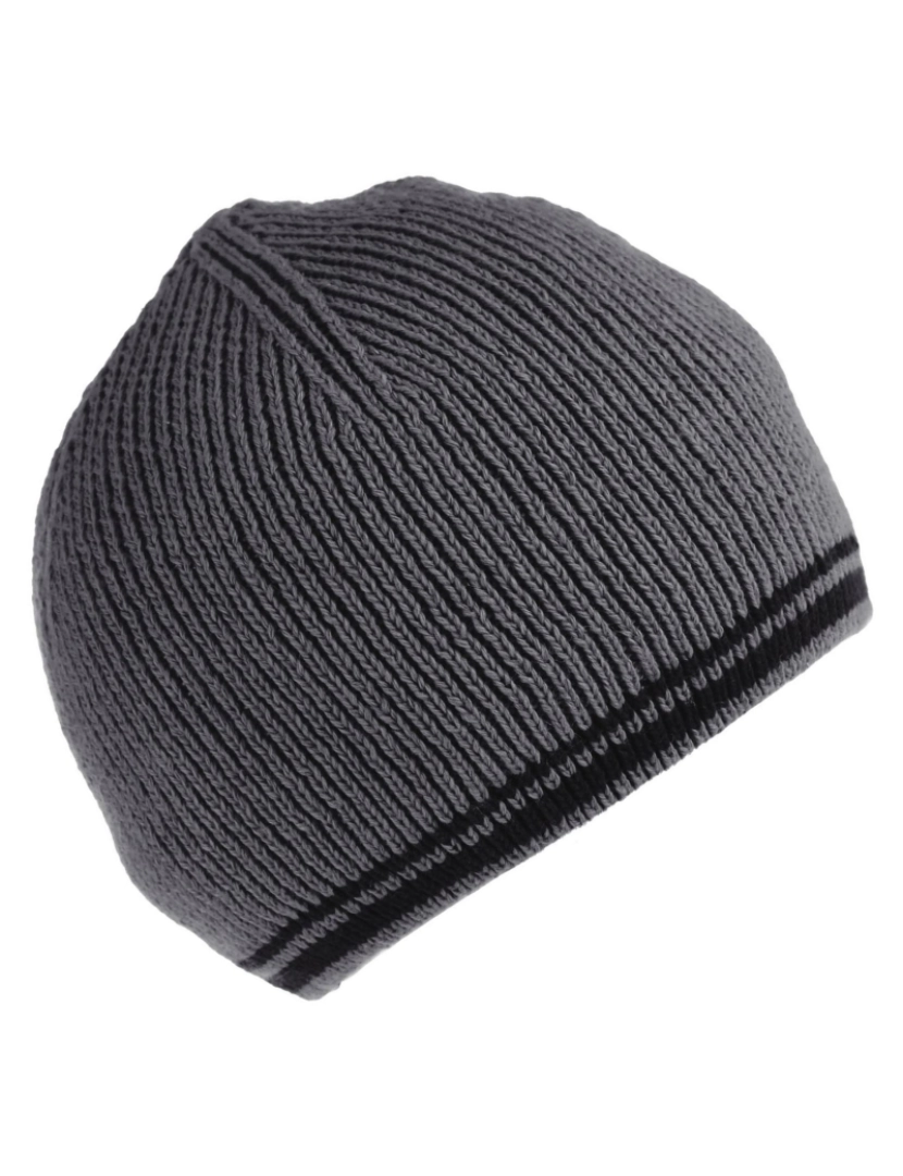 imagem de Regatta Mens Balton Ii Fleece Beanie1