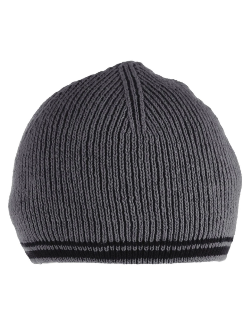 imagem de Regatta Mens Balton Ii Fleece Beanie2