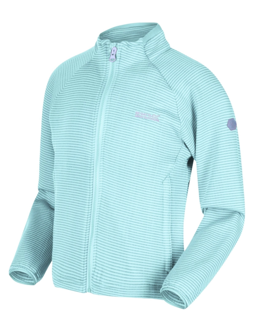 imagem de Regatta Crianças/Kids Highton Lite Midlayer1