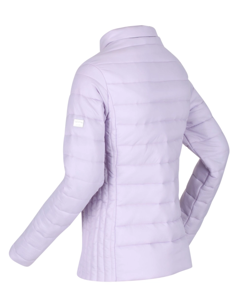 imagem de Regatta Womens/Ladies Kylar Quilted casaco isolado5