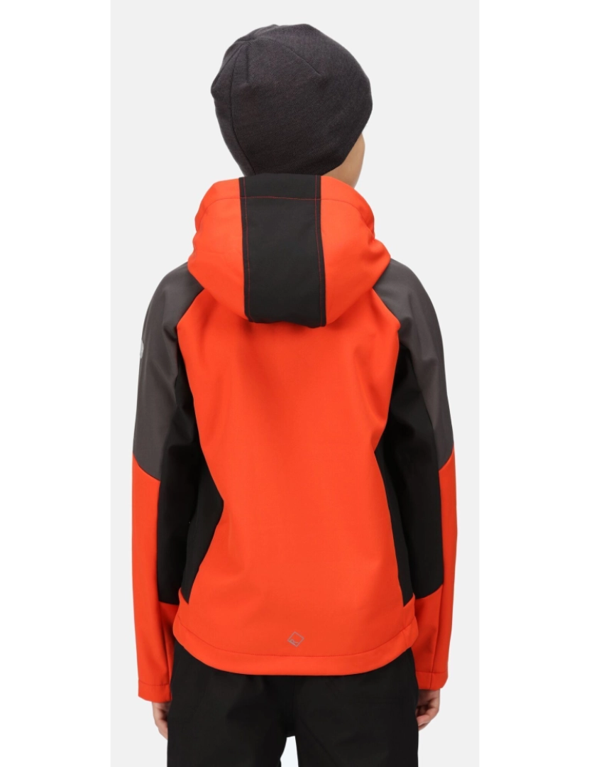 imagem de Regatta Crianças/Kids Eastcott Softshell Jacket5