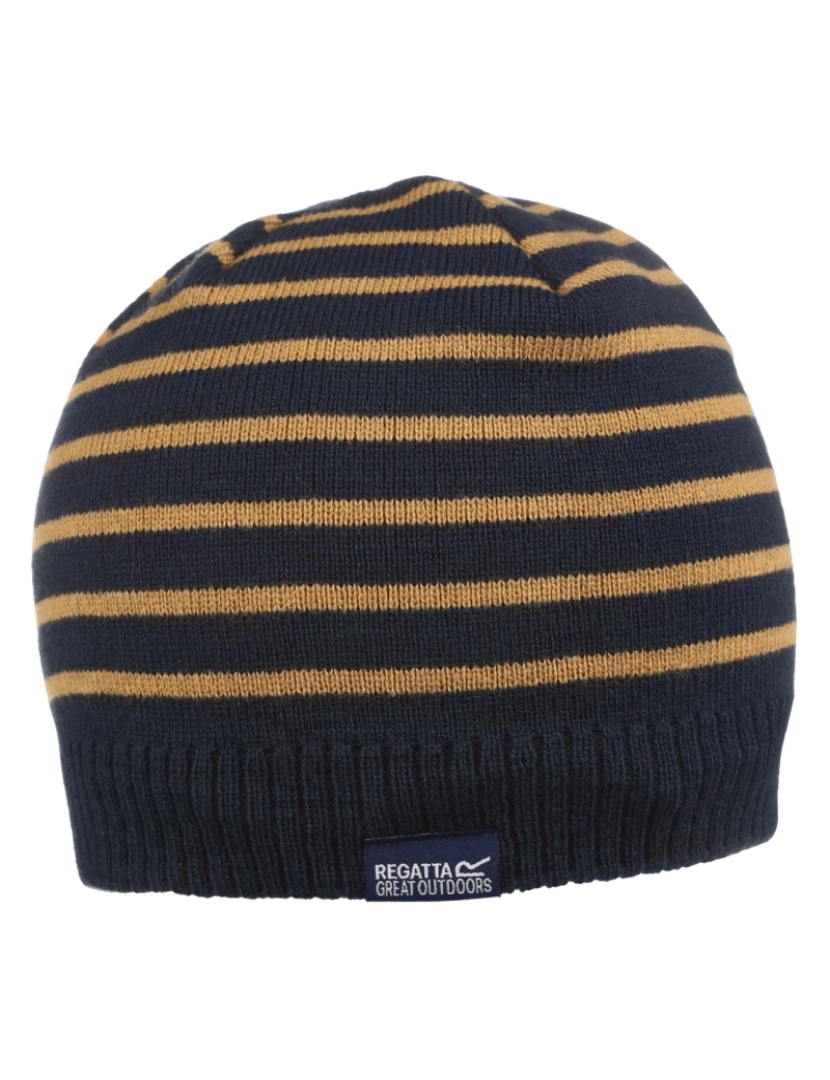 imagem de Regatta Crianças/Kids Tarley Fleece Lined Stripe Beanie - 11-13 Años2