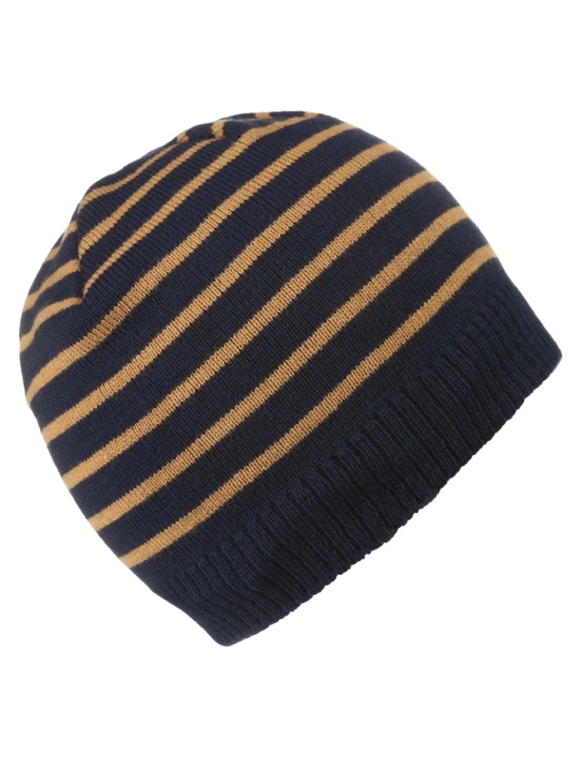 imagem de Regatta Crianças/Kids Tarley Fleece Lined Stripe Beanie - 11-13 Años3