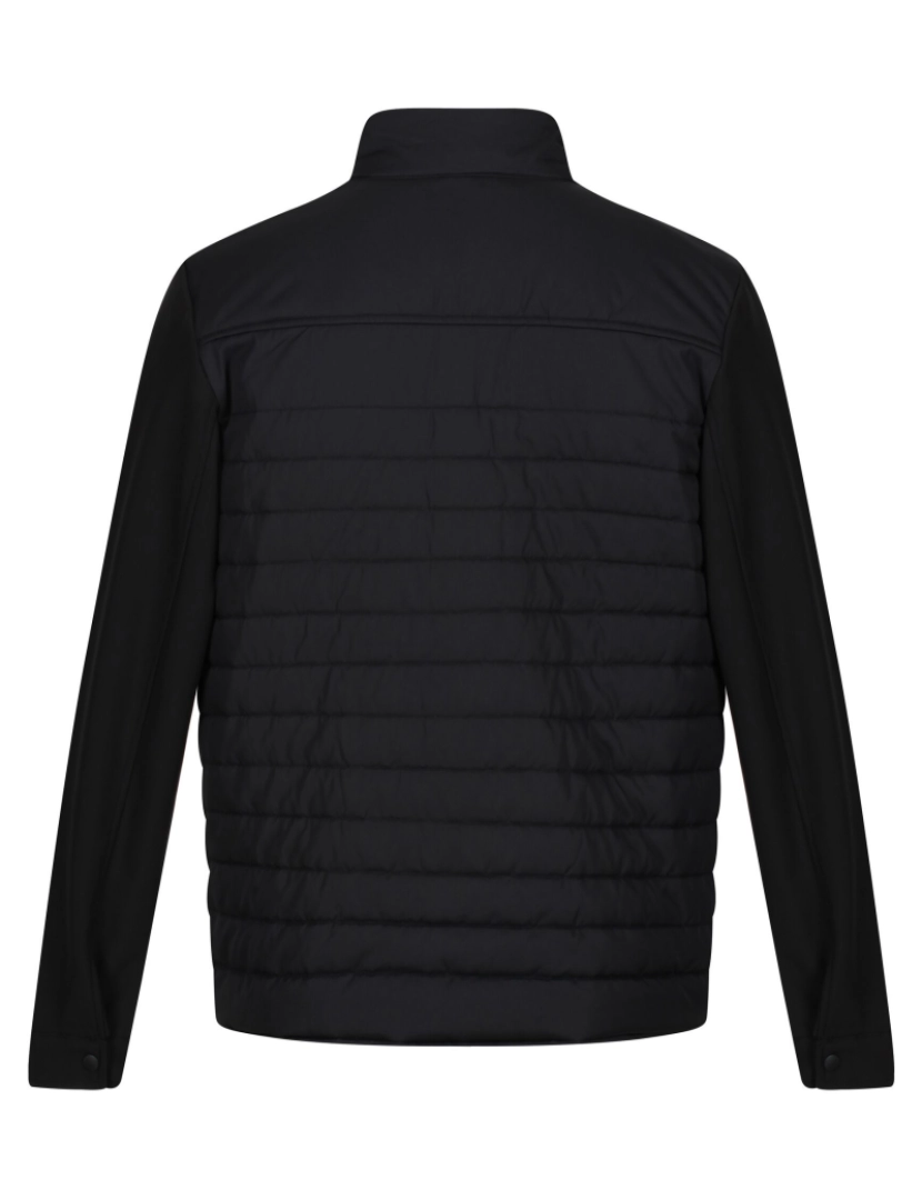 imagem de Regatta Mens Kadir Quilted casaco isolado2