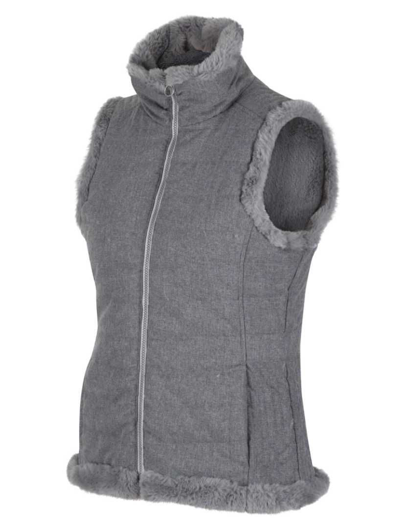 imagem de Regatta Womens/Ladies Winslow Body Warmer4