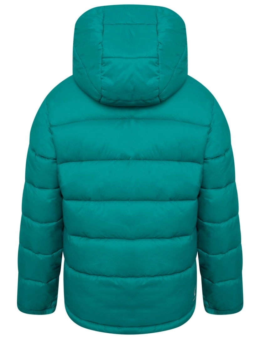 imagem de Regatta Crianças/Kids Bravo Shard Print Puffer Jacket2