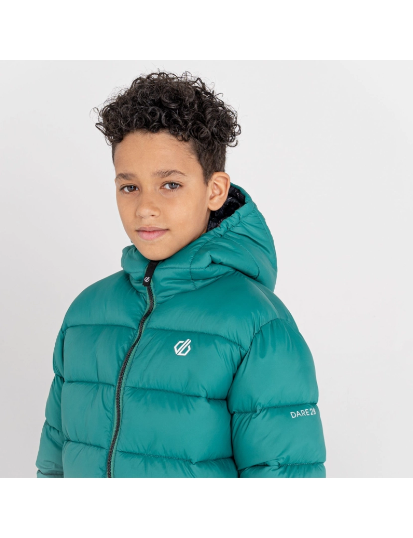 imagem de Regatta Crianças/Kids Bravo Shard Print Puffer Jacket5