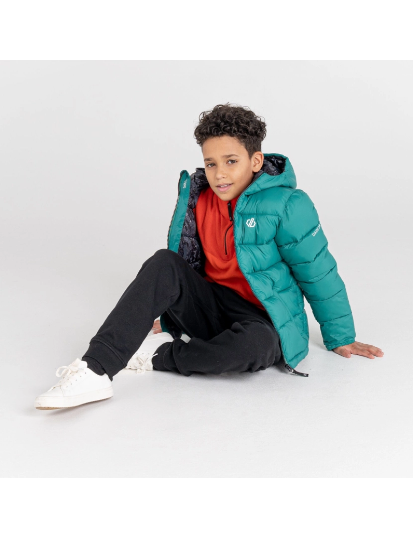 imagem de Regatta Crianças/Kids Bravo Shard Print Puffer Jacket6