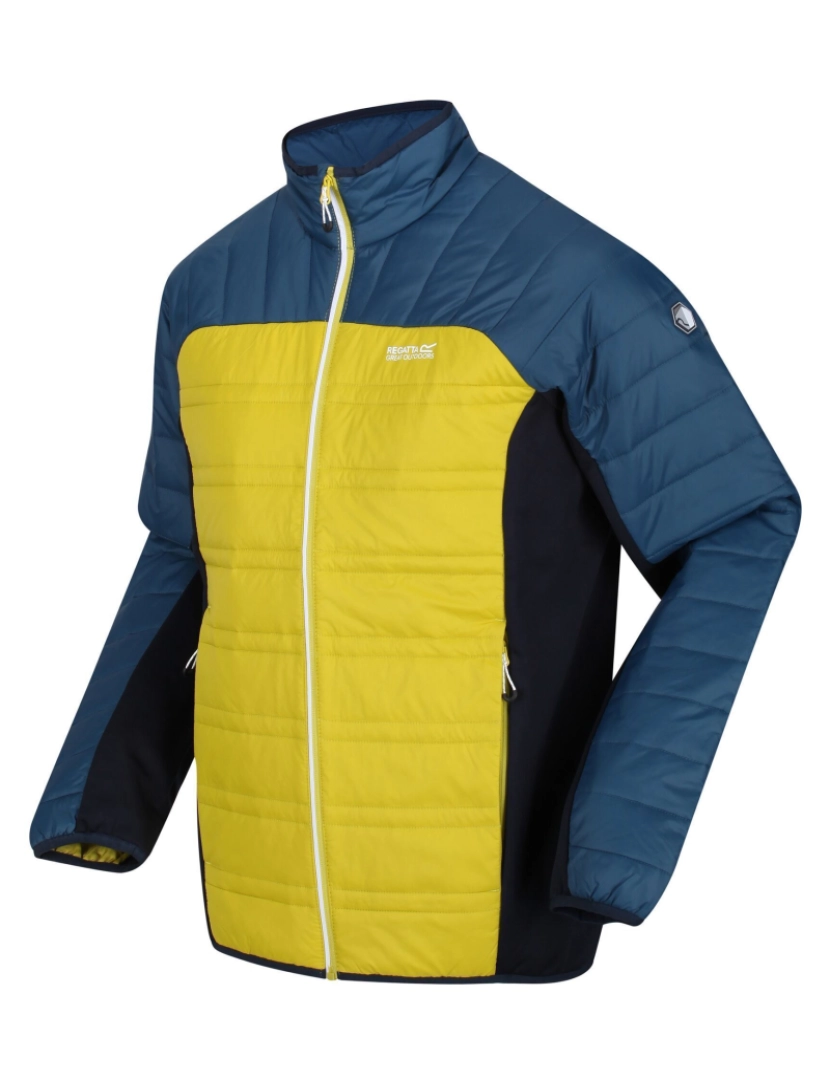 imagem de Regatta Mens Halton V Quilted Casaco acolchoado isolado1