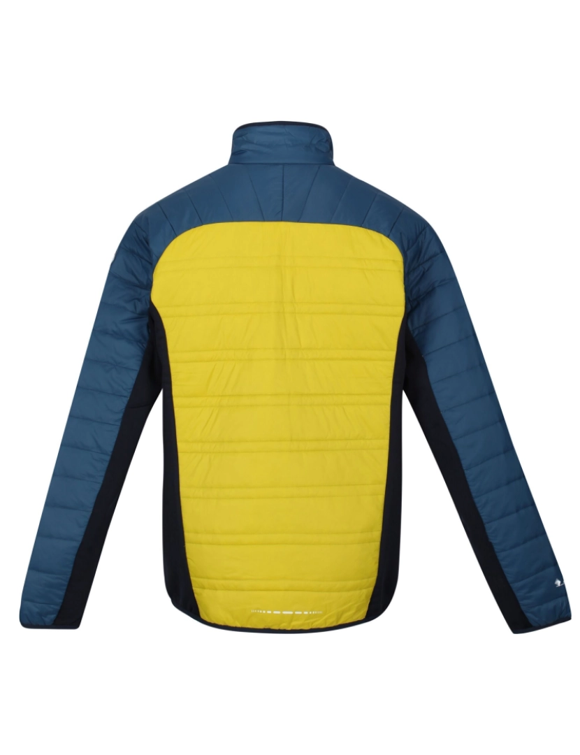 imagem de Regatta Mens Halton V Quilted Casaco acolchoado isolado2