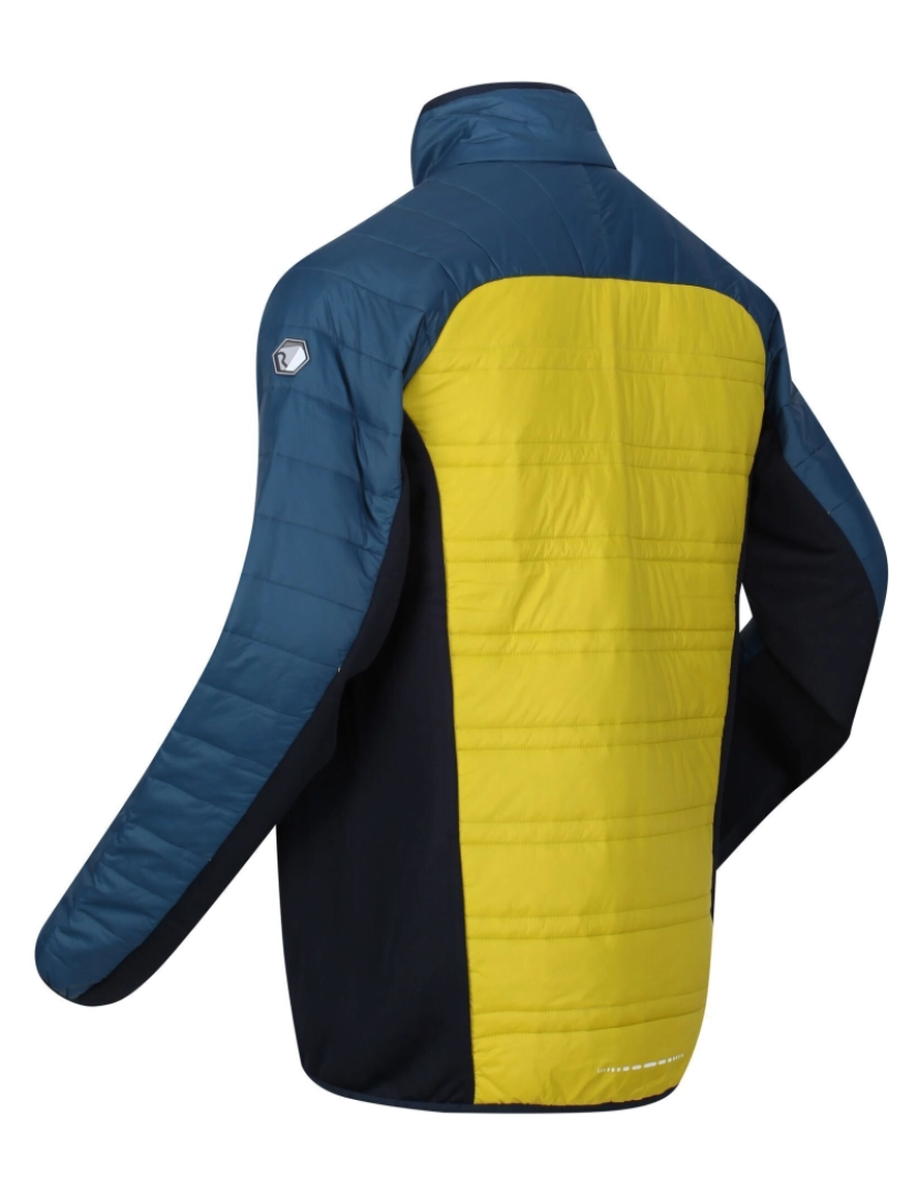 imagem de Regatta Mens Halton V Quilted Casaco acolchoado isolado3