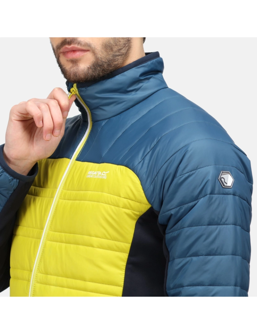 imagem de Regatta Mens Halton V Quilted Casaco acolchoado isolado4