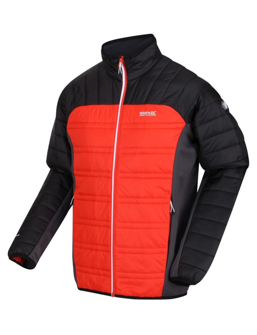 imagem de Regatta Mens Halton V Quilted Casaco acolchoado isolado1