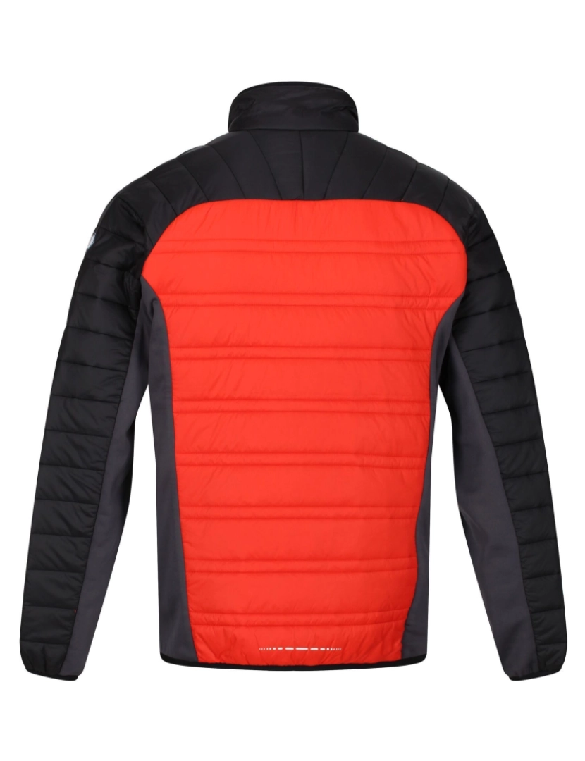 imagem de Regatta Mens Halton V Quilted Casaco acolchoado isolado2