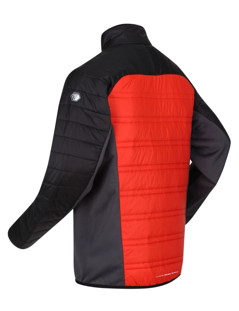 imagem de Regatta Mens Halton V Quilted Casaco acolchoado isolado3