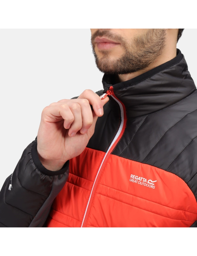 imagem de Regatta Mens Halton V Quilted Casaco acolchoado isolado4