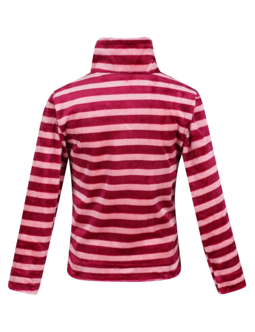 imagem de Regatta Crianças/Kids Kamailie Stripe metade Zip Fleece2