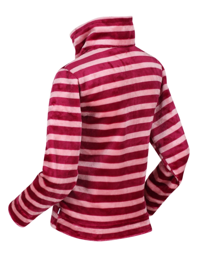 imagem de Regatta Crianças/Kids Kamailie Stripe metade Zip Fleece3