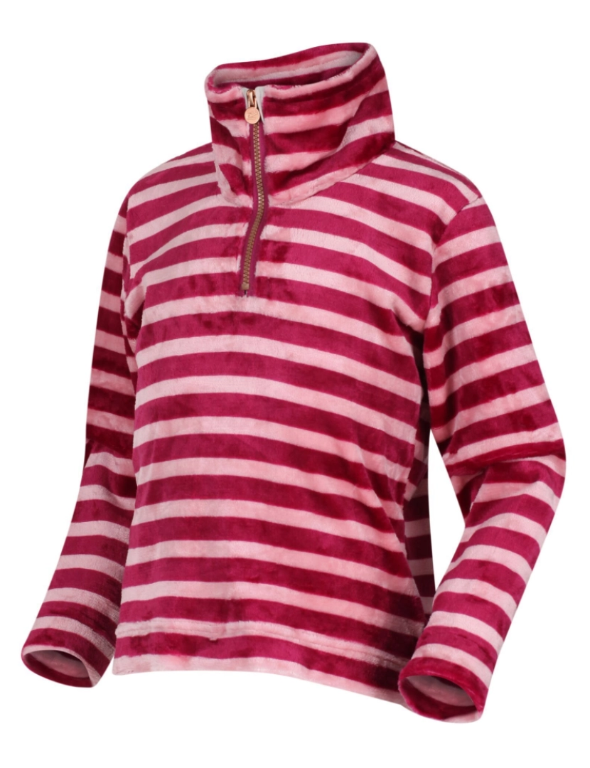 imagem de Regatta Crianças/Kids Kamailie Stripe metade Zip Fleece4