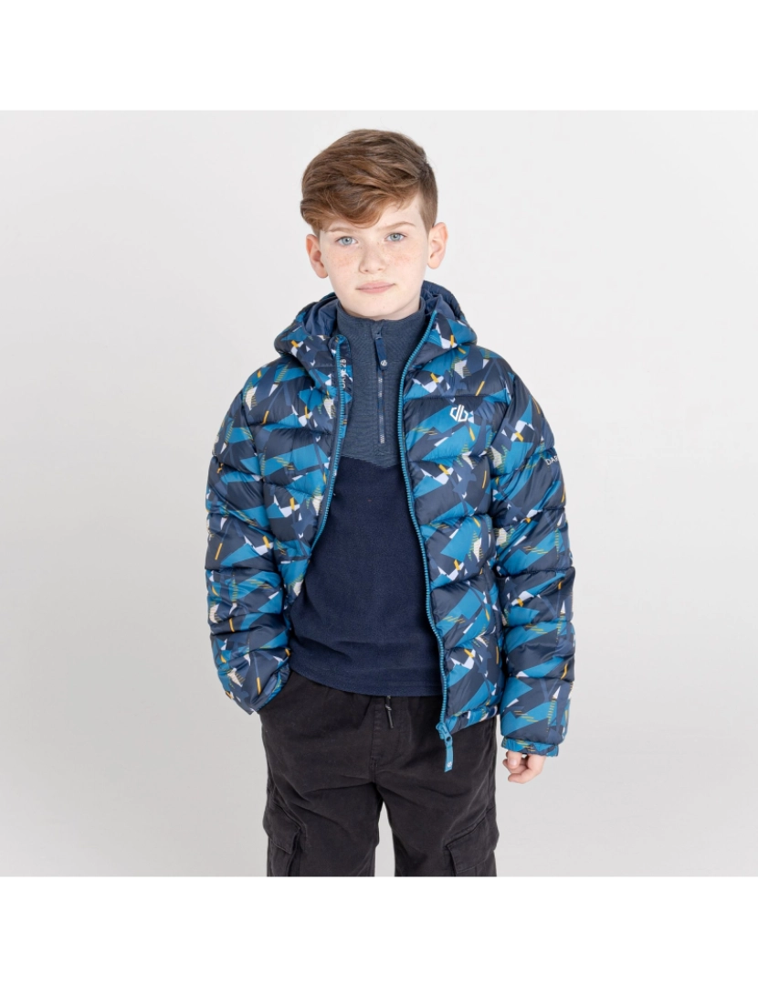 imagem de Regatta Crianças/Kids Bravo Geometric Puffer Jacket5