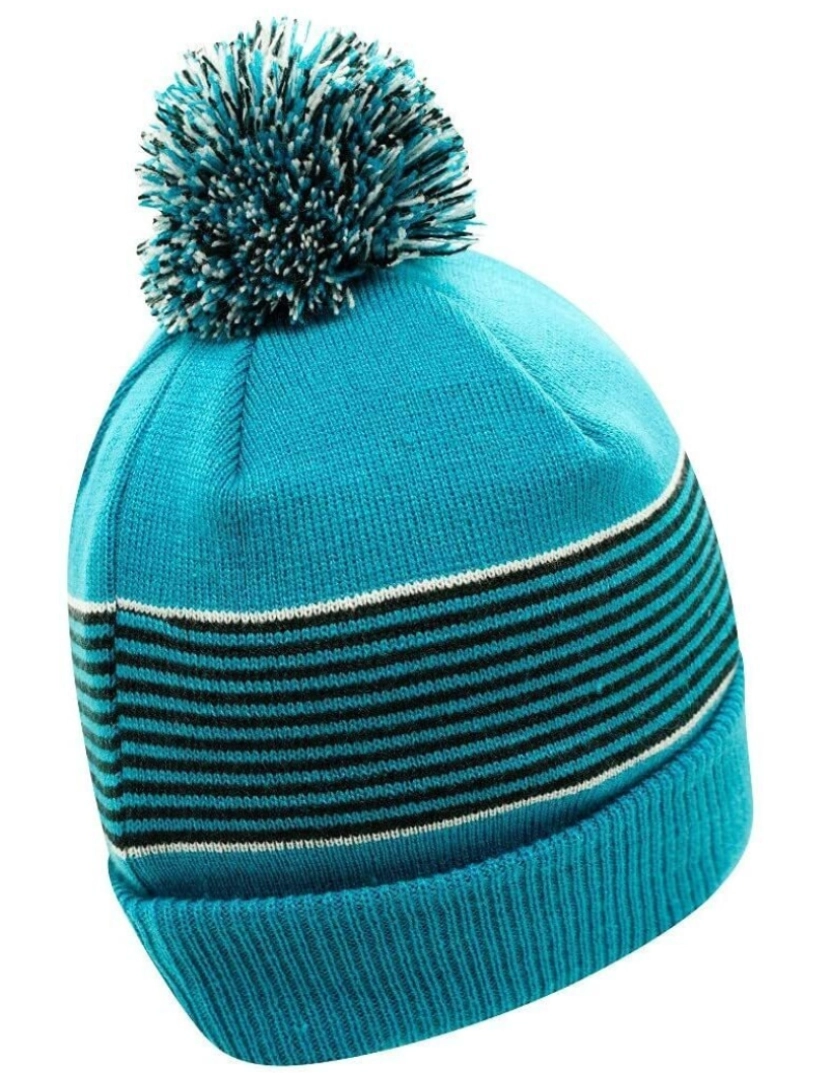 imagem de Regatta Mens Out Wit Fleece forrado Beanie2