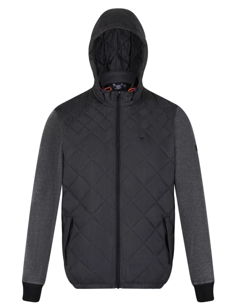 imagem de Regatta Mens Warrick Quilted casaco isolado1