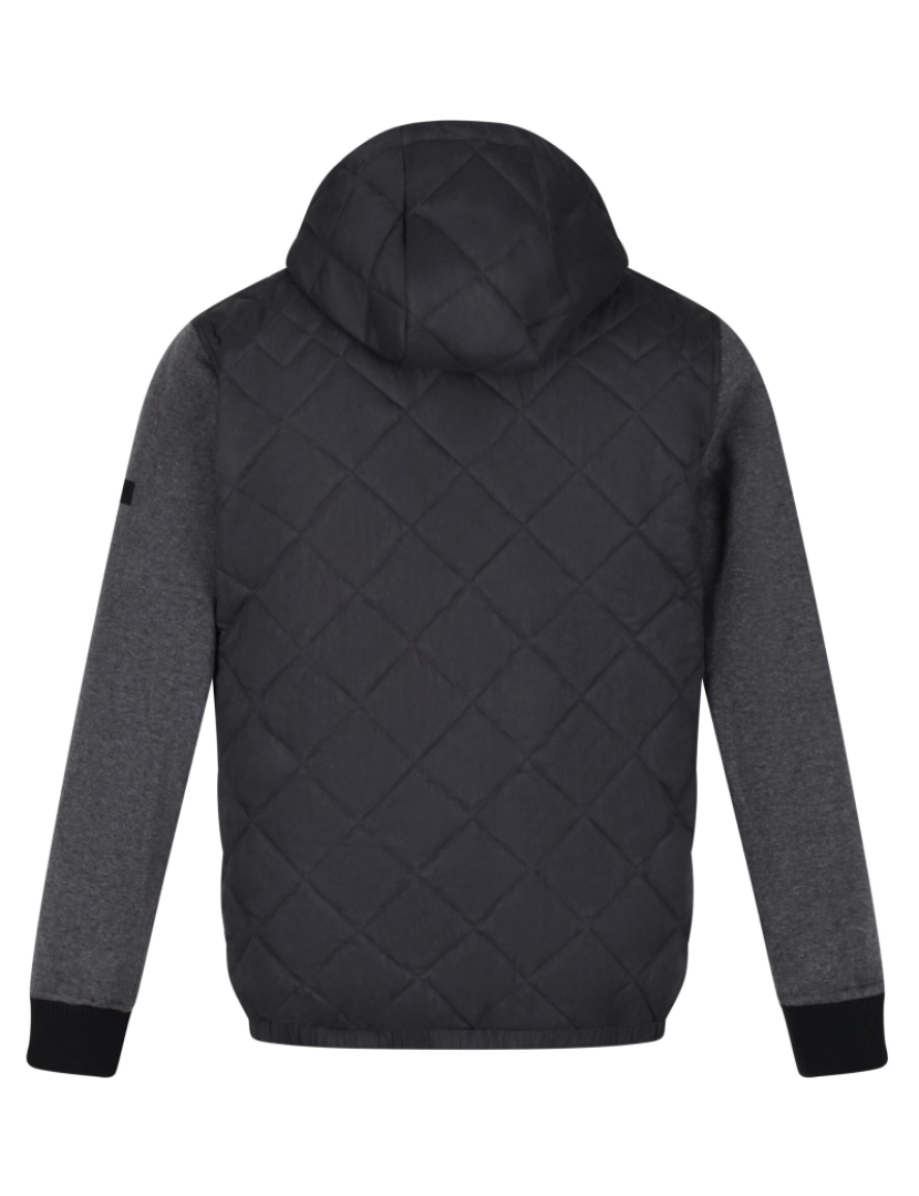 imagem de Regatta Mens Warrick Quilted casaco isolado2