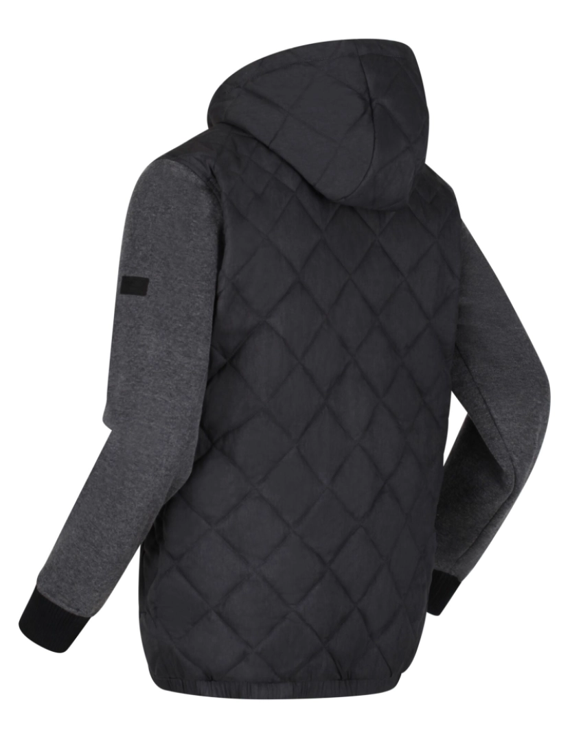 imagem de Regatta Mens Warrick Quilted casaco isolado3