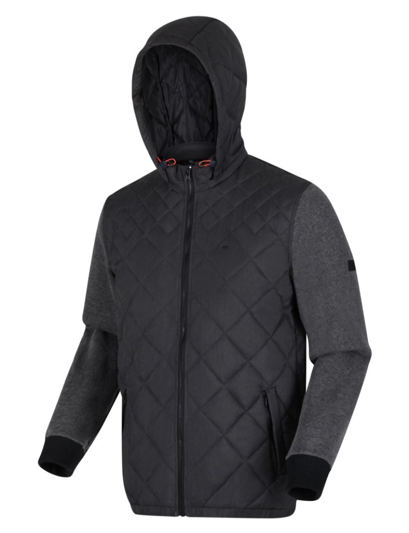 imagem de Regatta Mens Warrick Quilted casaco isolado4