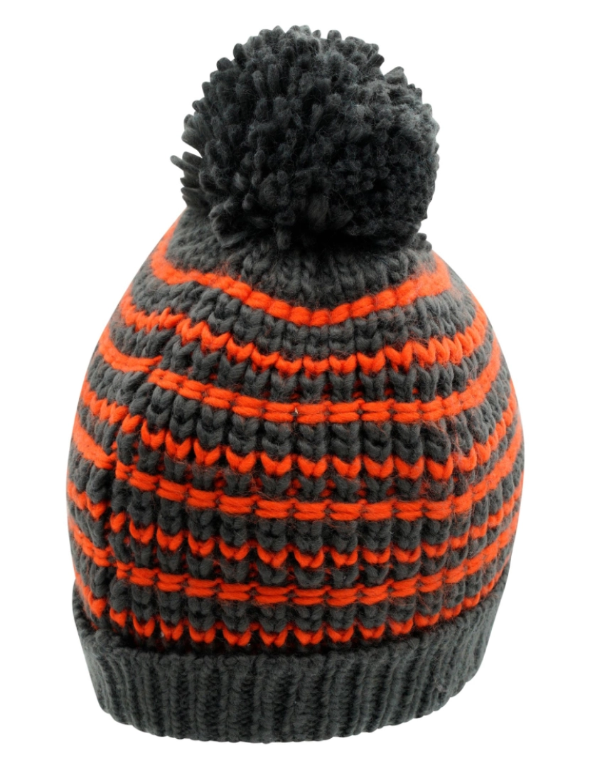 imagem de Regatta Unisex Adult Headstart Beanie2