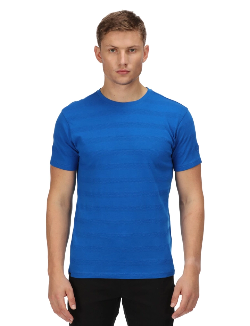 imagem de Regatta Mens Prestyn Stripe T-shirt5