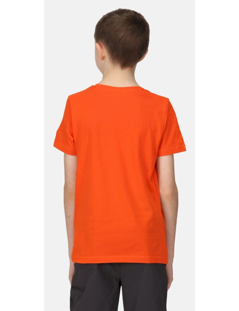 imagem de Regatta Crianças/Kids Bosley V Retângulo T-shirt6