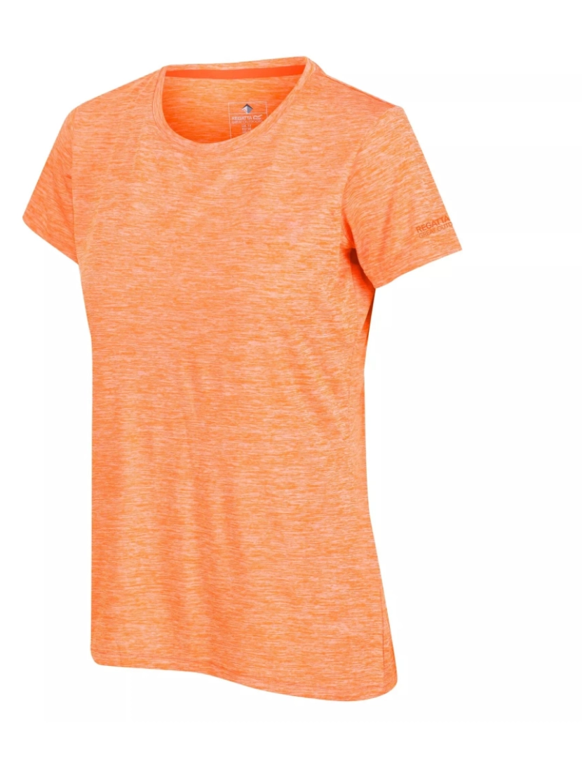 imagem de Regatta Womens/Ladies Fingal Edition T-Shirt3