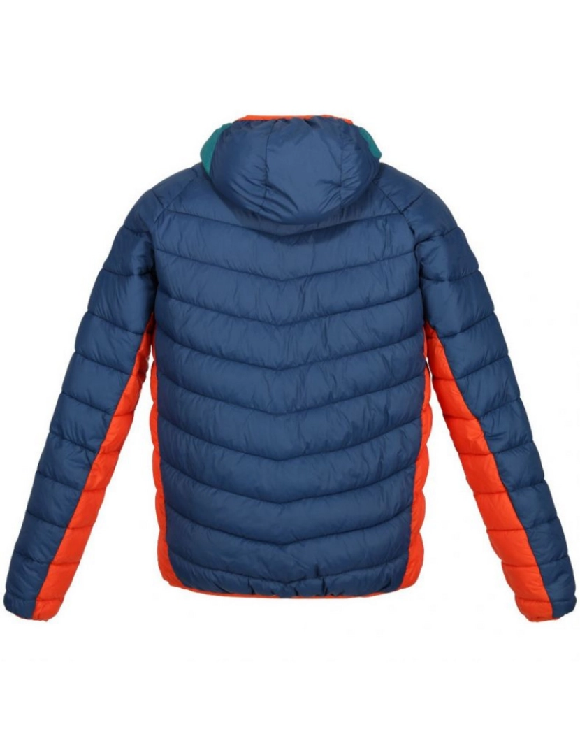 imagem de Regatta Mens Harrock Puffer Jacket2