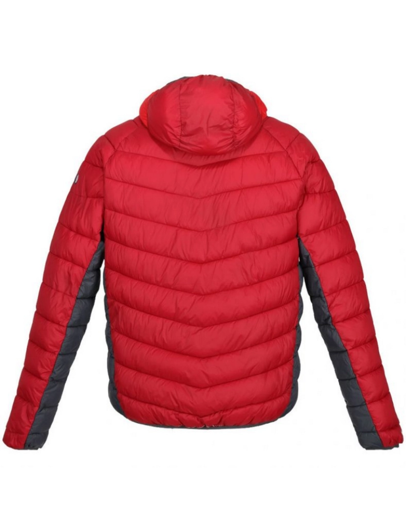 imagem de Regatta Mens Harrock Puffer Jacket2