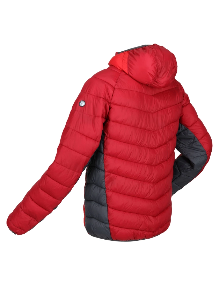 imagem de Regatta Mens Harrock Puffer Jacket4