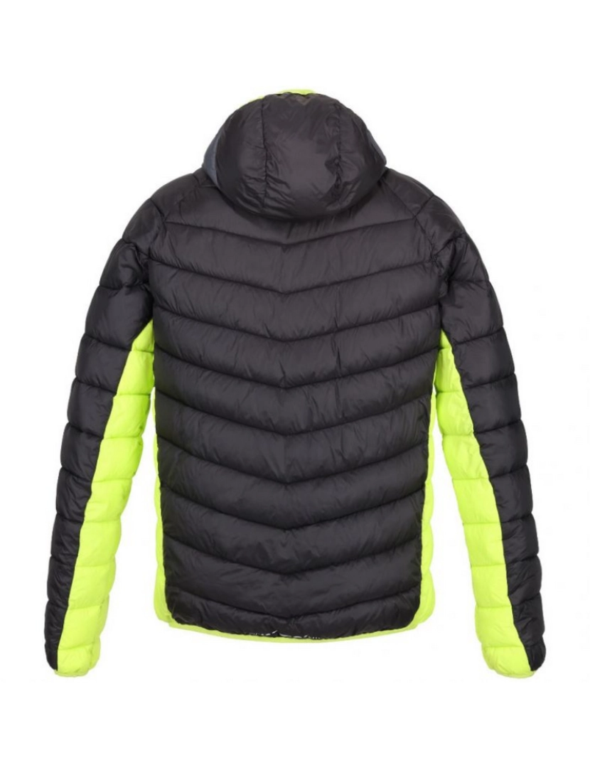 imagem de Regatta Mens Harrock Puffer Jacket2