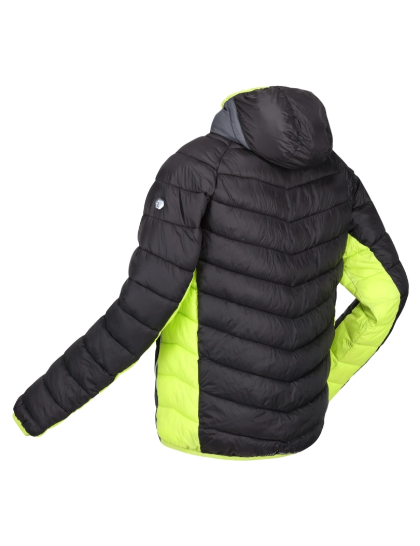 imagem de Regatta Mens Harrock Puffer Jacket4