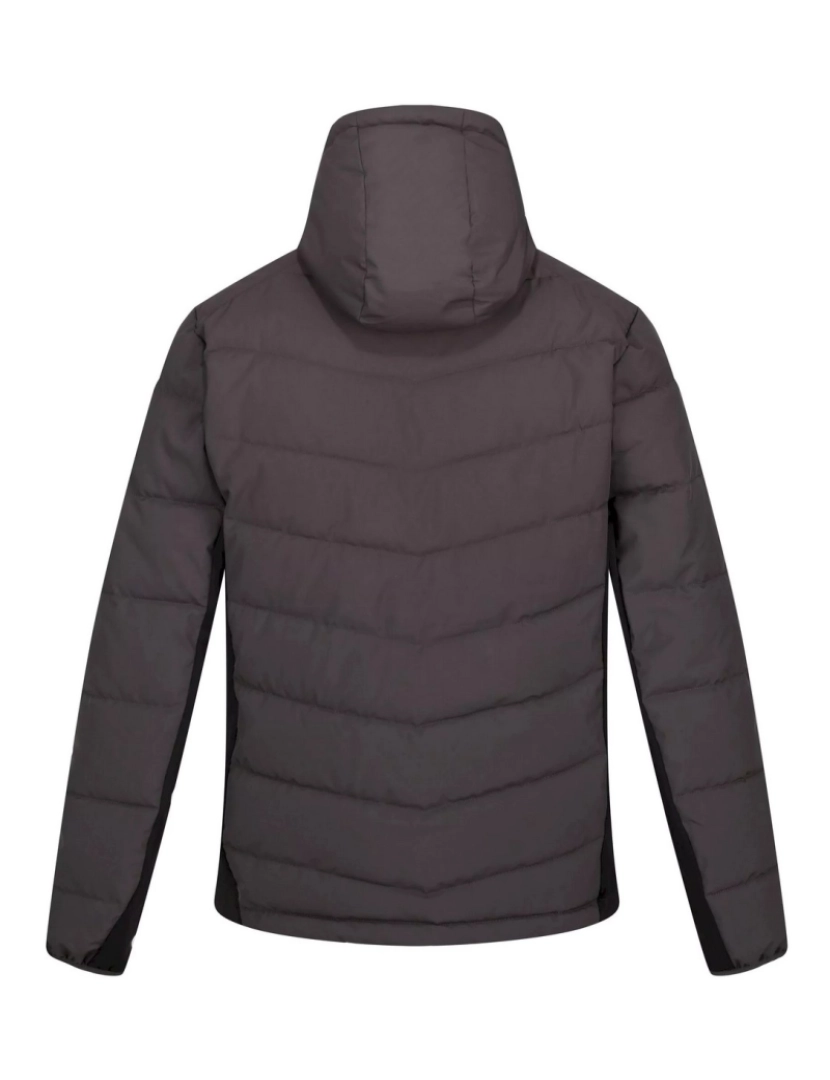 imagem de Regatta Mens Cranmore Puffer Jacket2