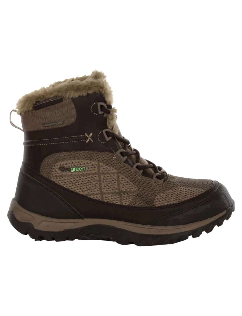 imagem de Regatta Womens/Ladies Hawthorn Evo Botas a pé1