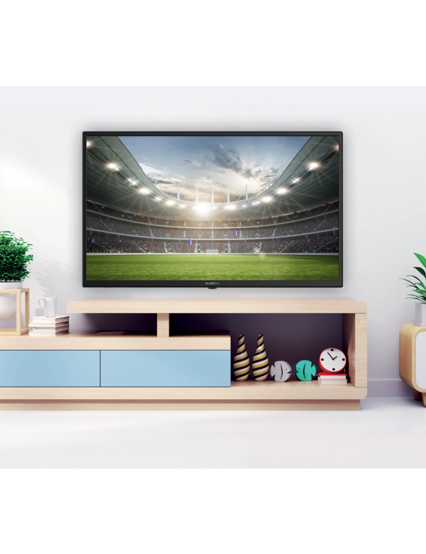 imagem de BLUETECH - Televisor LED - 32" (80cm) - HD - DVB-T/C/T2 - 2x HDMI - 2x USB - PVR - VGA3